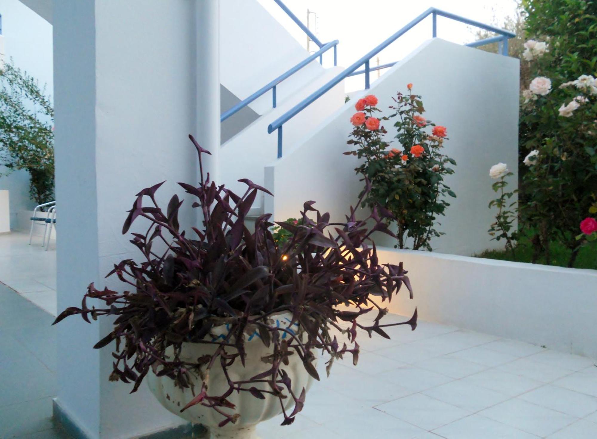 Dimitra Apartment Hotel Skafidia Exterior photo