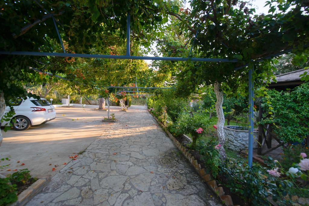 Dimitra Apartment Hotel Skafidia Exterior photo